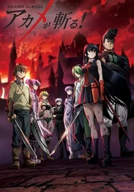 Akame ga Kill - Schwerter der Assassinen