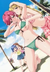 Boobs on the Beach