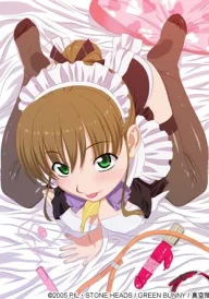 Maid in Heaven