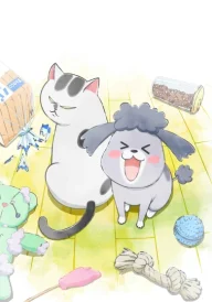 With a Dog and a Cat, Every Day is Fun